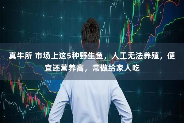 真牛所 市场上这5种野生鱼，人工无法养殖，便宜还营养高，常做给家人吃
