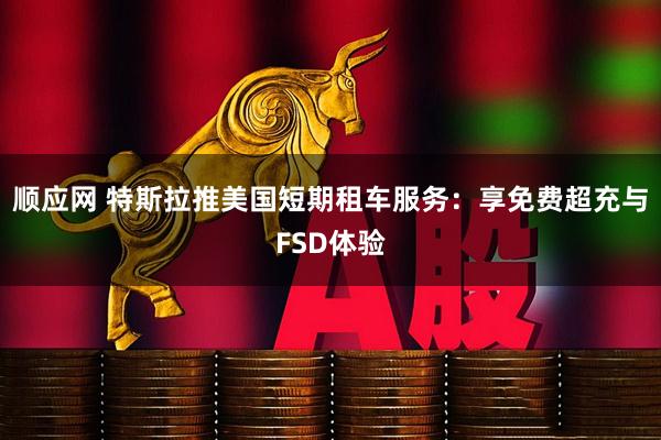 顺应网 特斯拉推美国短期租车服务：享免费超充与FSD体验