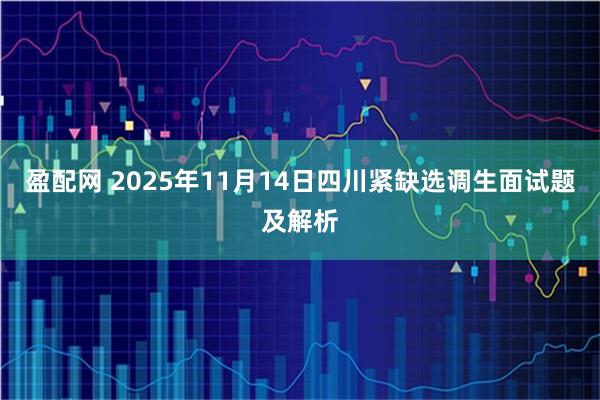 盈配网 2025年11月14日四川紧缺选调生面试题及解析