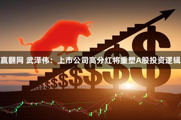 赢翻网 武泽伟：上市公司高分红将重塑A股投资逻辑